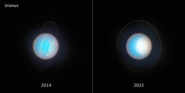tportal