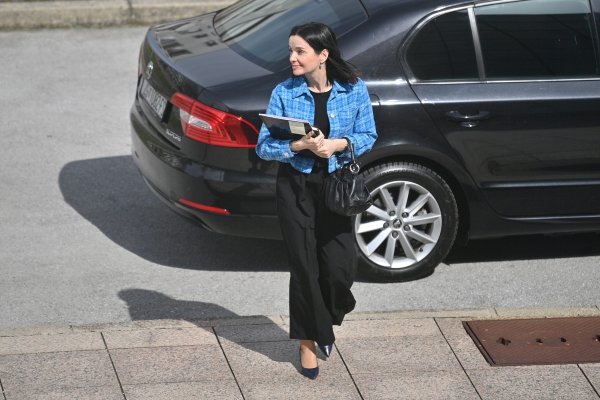 Sjednica Vlade 30. ožujka