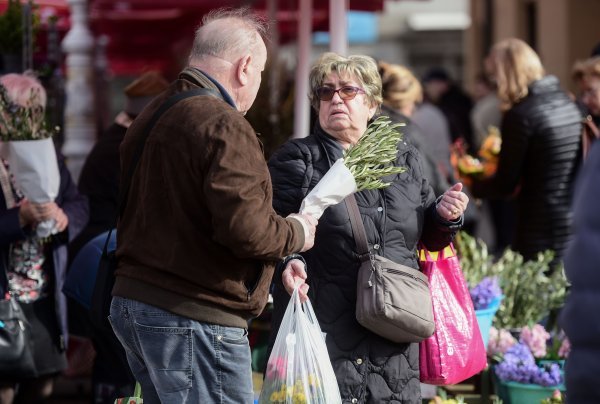 Ponuda maslinovih grančica uoči Cvjetnice