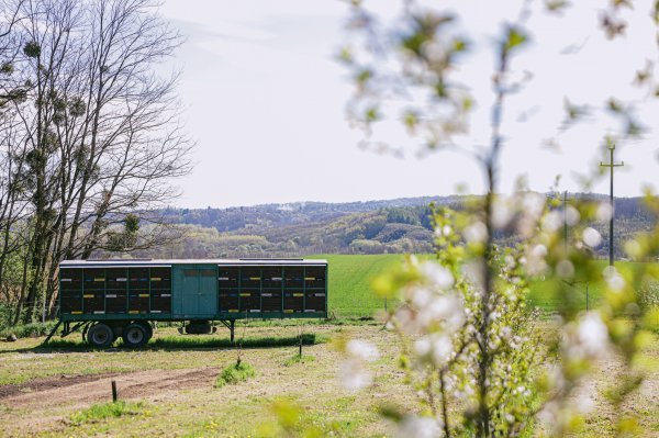 Prikolica sa 120 košnica spremna je za put