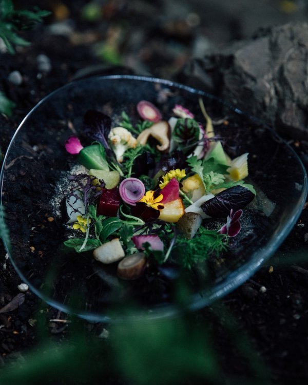 L Effervescence Ars longa, Vita Brevis (taken by Nathalie Cantacuzino)