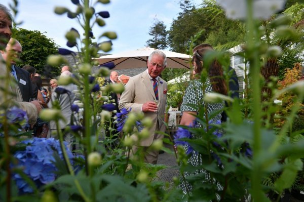 Kralj Charles na posjedu Duchy u Cornwallu