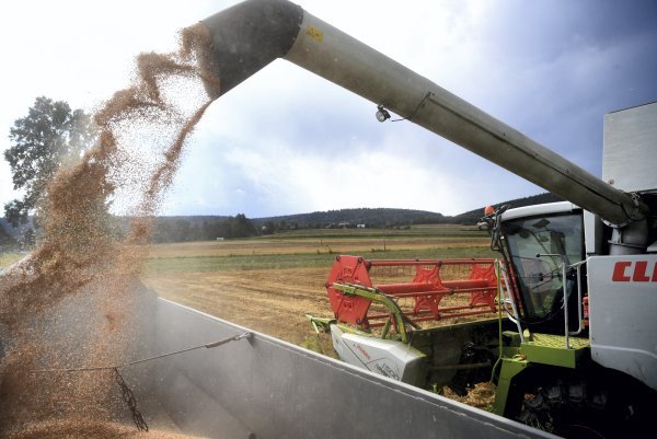 Poljoprivreda u Poljskoj