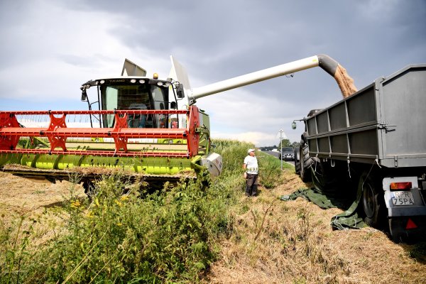 Ovo će biti važna godina za poljoprivrednike, ali i ugostitelje: Stiže novi zakon