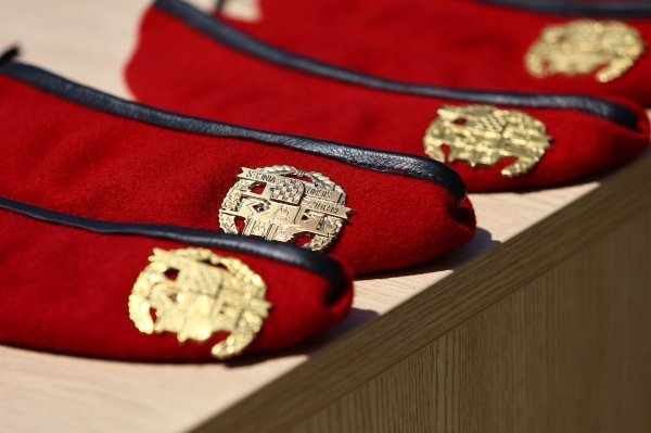 Predsjednik Milanović na svečanoj prisezi 3. mehanizirane bojne Pauci