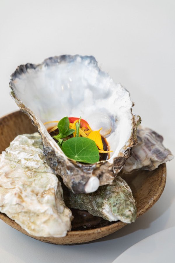 Mazzia - Martell2 DavidGirard2022