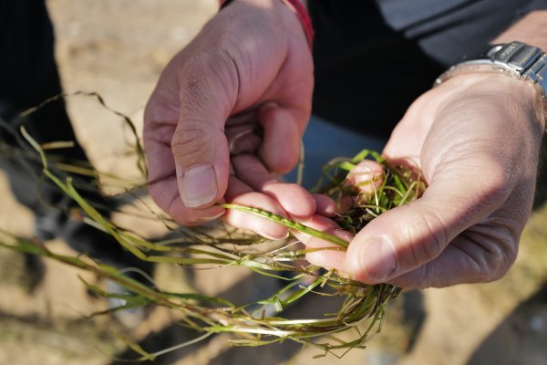Jorge Vallejo - Angel Leon
