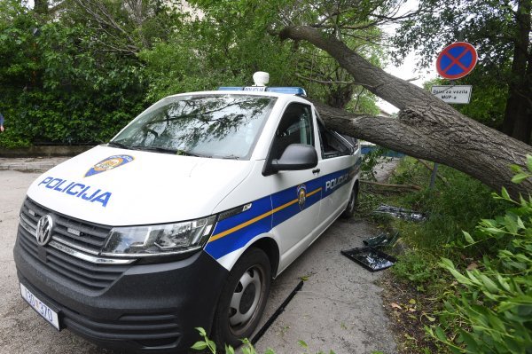 Šibenik: Jak vjetar srušio veliko drvo i razbio policijski kombi