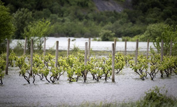 Poplava u Vrgorskom polju