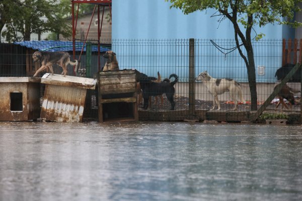 Poplavljen azil u Ogulinu