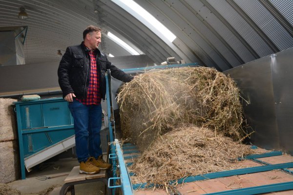 Peleti i drva za ogrjev