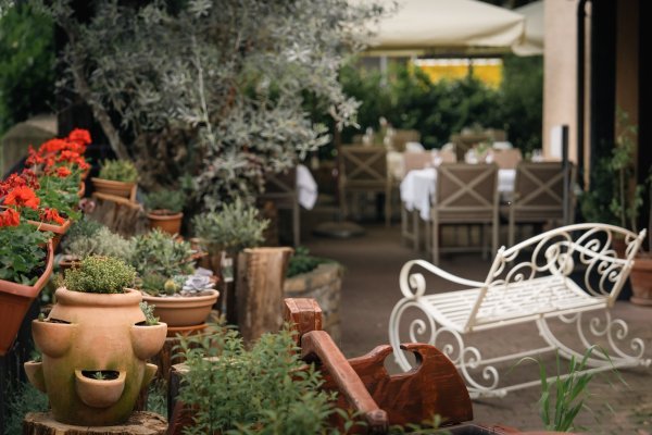 Eksterijer - Bota Šare