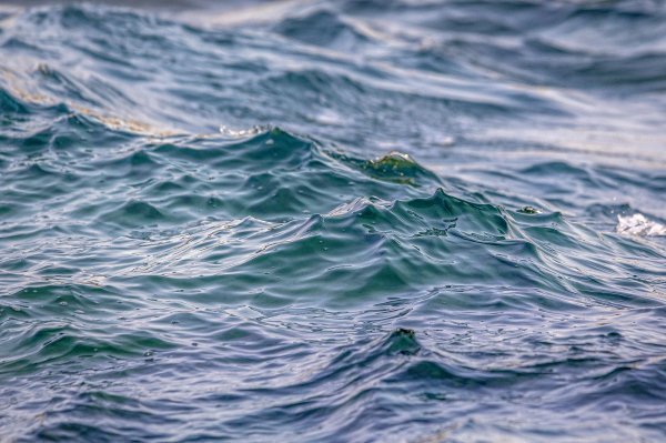 More u zaštićenoj laguni u Istri i dalje je zagađeno fekalijama, kupanje je zabranjeno
