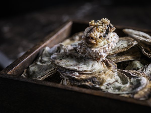 Tres - Rotterdam (3)