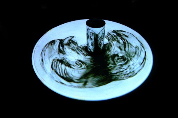 PXL_060623_100556325