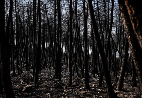 Požari su na proljeće pustošili Španjolsku