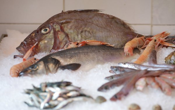 Večera s Puljkom u Noštromu