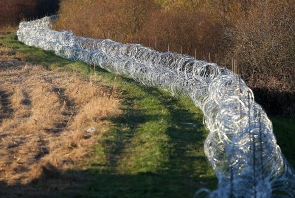 Slovenska boljikava žica hrvatski teritorij Harmica