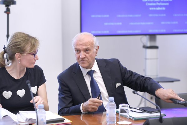 Odbor za Ustav o prijedlogu zakona o izbornim jedinicama