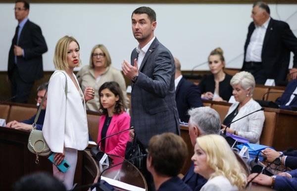 Davor Filipović na sjednici saborskog Odbora za gospodarstvo o plinskoj aferi