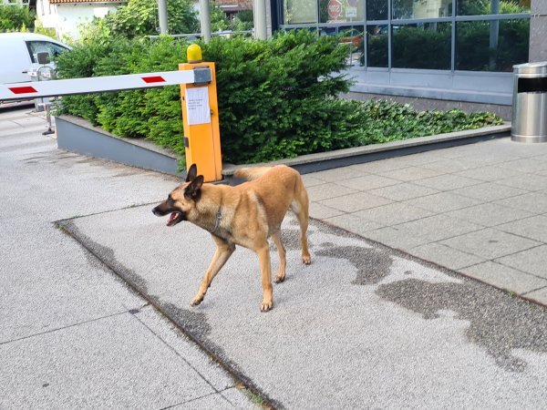 Dojava o bombi u Hanza mediji