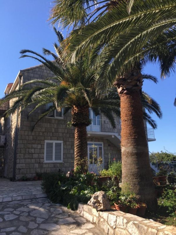 Vila Radulj - Mljet