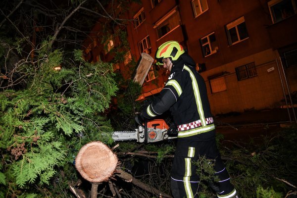 Zagreb: Jak vjetar srušio stablo u Savskoj, vatrogasci na terenu