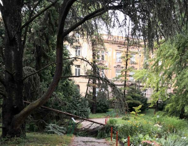 Posljedice nevremena u Botaničkom vrtu