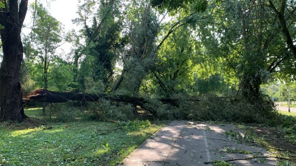 Posljedice nevremena na Jarunu