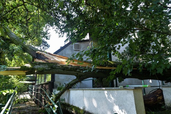 Zagrebački Zoološki vrt pretrpio štetu u nevremenu