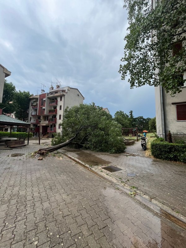 Posljedive nevremena u naselju Mate Balota u Poreču