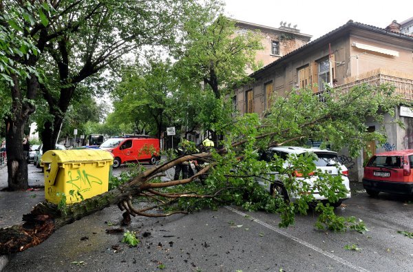 Olujni vjetar srušio je stablo na cestu u Rijeci