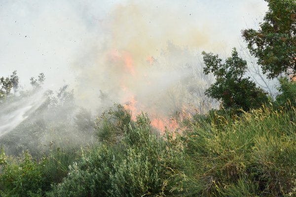 Požar u Župi dubrovačkoj