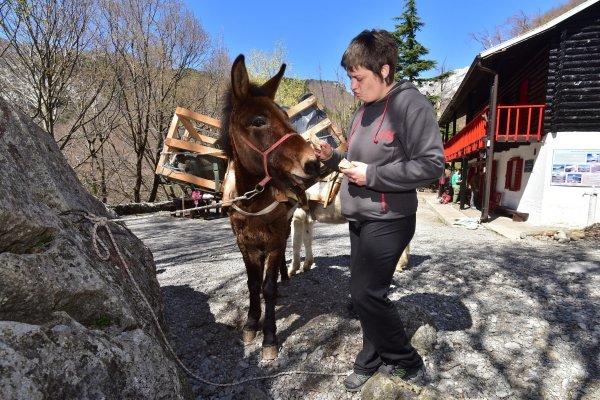 Irena Šaran na svom radnom mjestu, planinarskom domu NP Paklenica