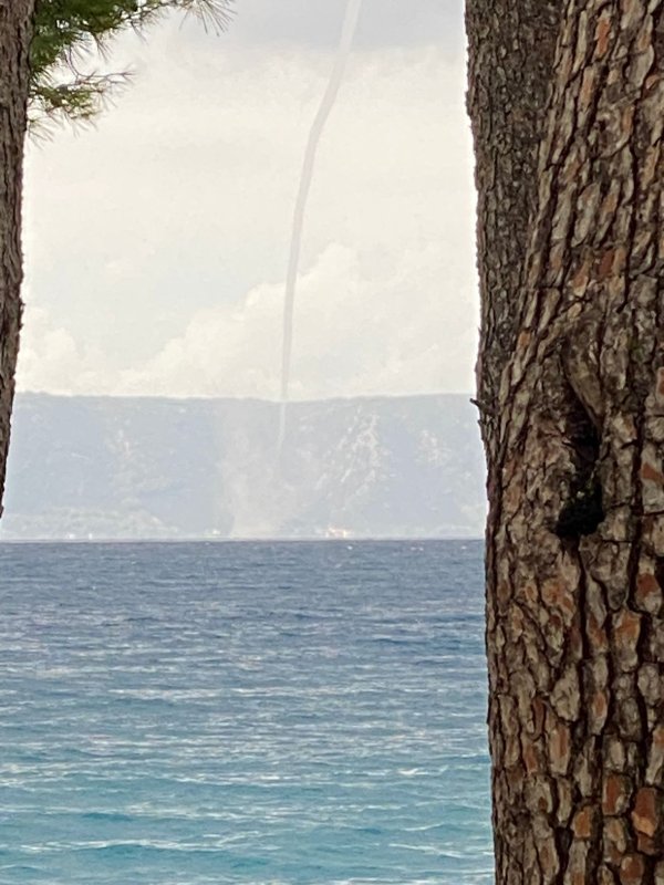 Pijavica u Tučepima