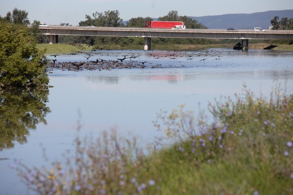 Vodostaj rijeke Save u općini Rugvica polagano je počeo opadati