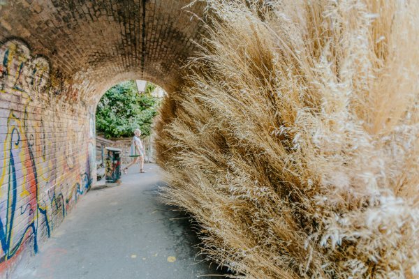 Beskrajno ljeto_Jelena Malenica