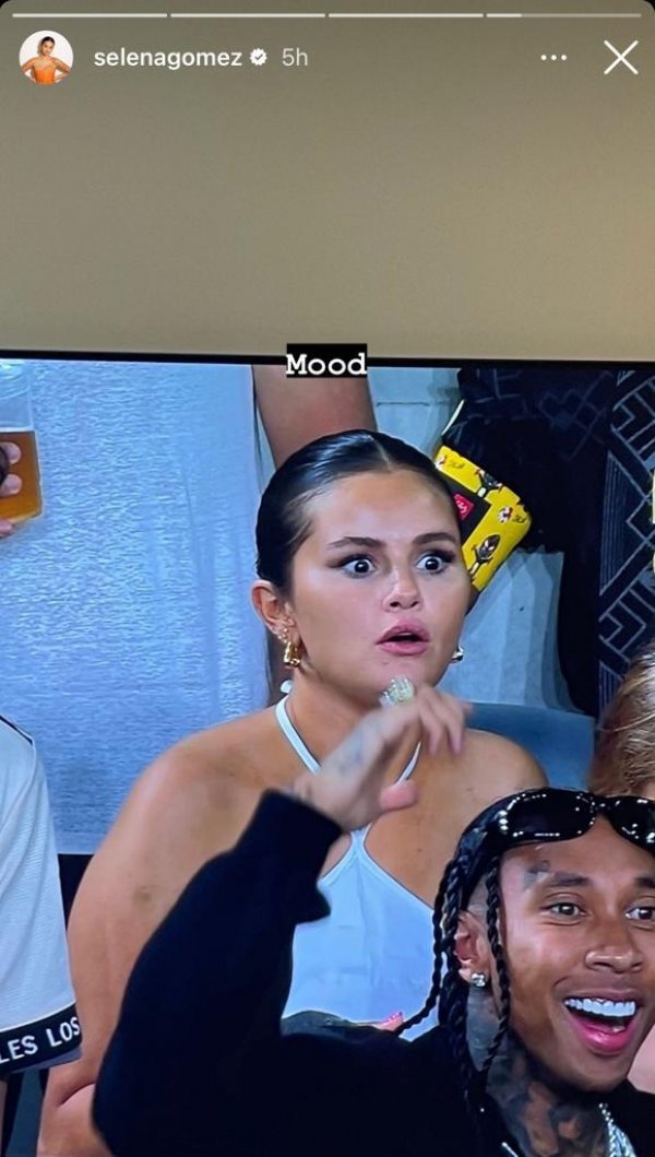 Selena Gomez na utakmici