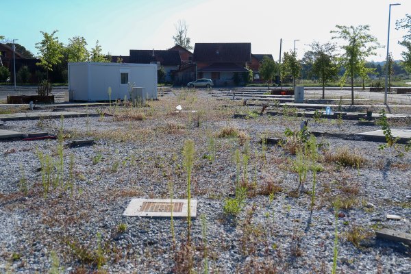 Branko Bačić u obilasku kontejnerskog naselja u Glini
