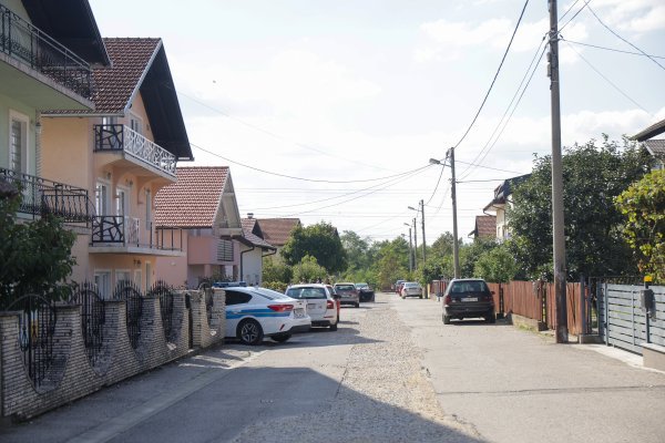 Pas ugrizao dijete u Brestju