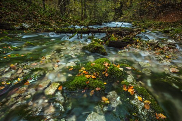 Jesen na Plitvicama (34)