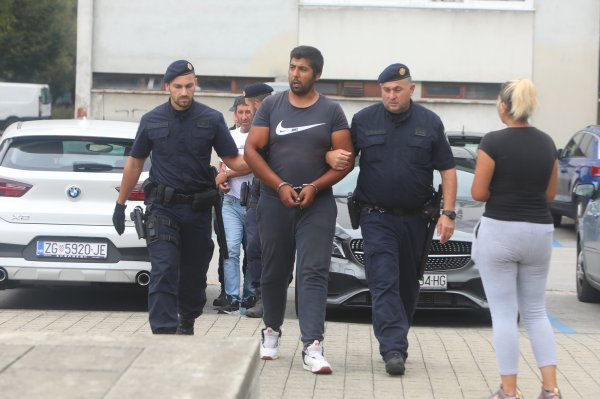 Dvojica muškaraca u Karlovcu privedena zbog premlaćivanja konja.zip