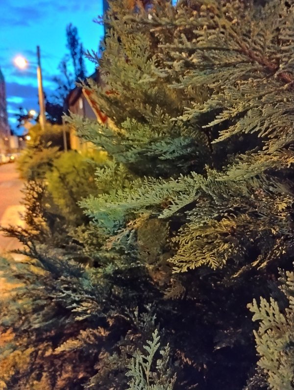 Motorola Moto G53 5G primjeri fotografija