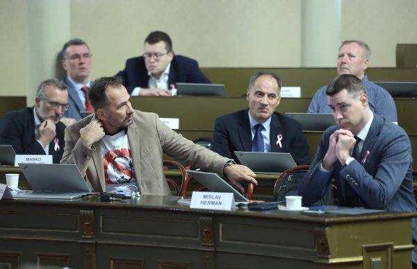 Igor Peternel, Slaven Dobrović i Mislav Herman