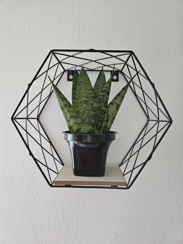 Samsung Galaxy Z Fold5 primjeri fotografija