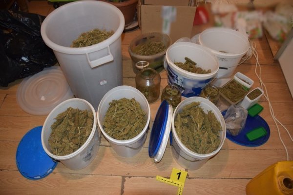 Laboratorij za marihuanu u Bistri