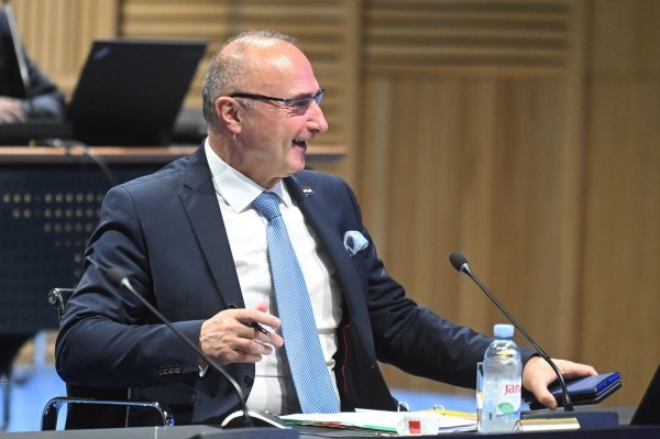 Gordan Grlić Radman