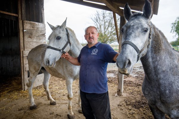 Uzgajivač konja Darko Čelik