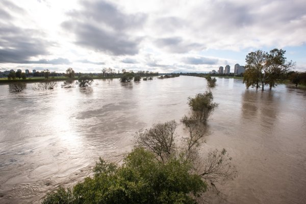 Nabujala rijeka Sava izlila se iz primarnog korita