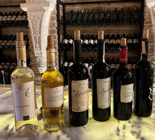 Ljubitelji vina neće ostati razočarani ponudom vina u Kapadokiji